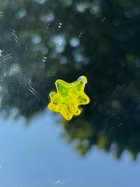 jelly star