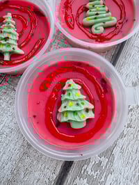 Image 2 of Festive Fig and Snowberry pretty pots