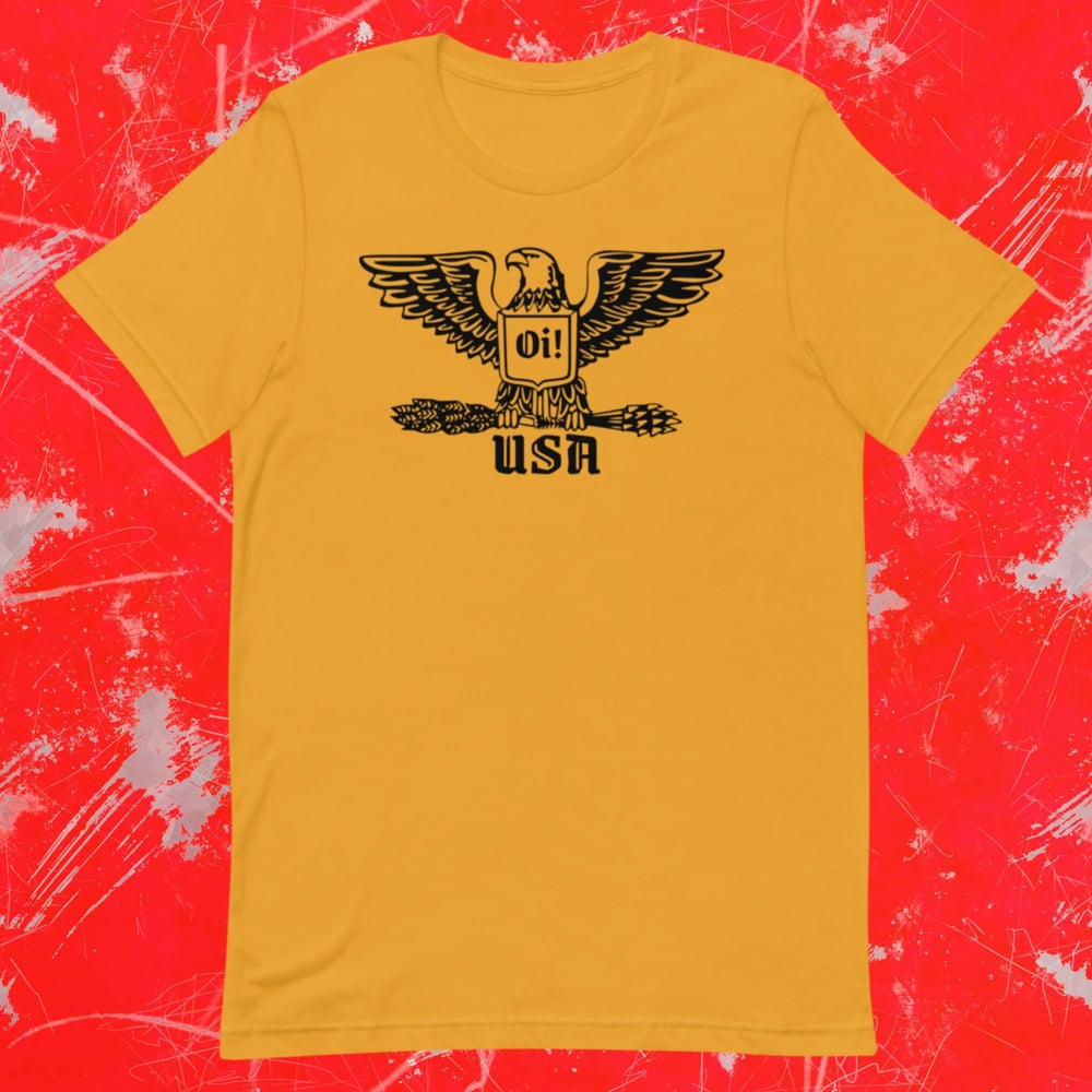 USA Eagle Unisex t-shirt