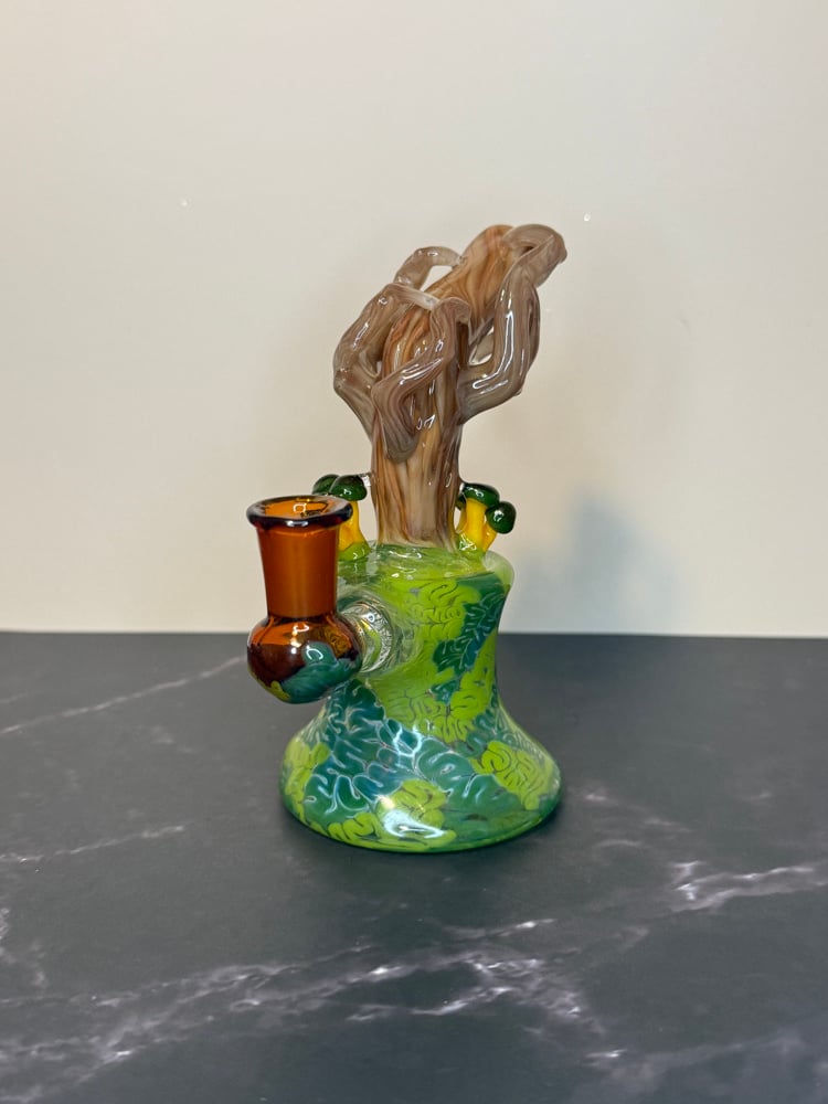 Image of Green Headed Jelly Jammer 