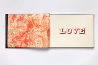 Image 2 of PRE ORDER - Paul Dobleman - love , death & Forture