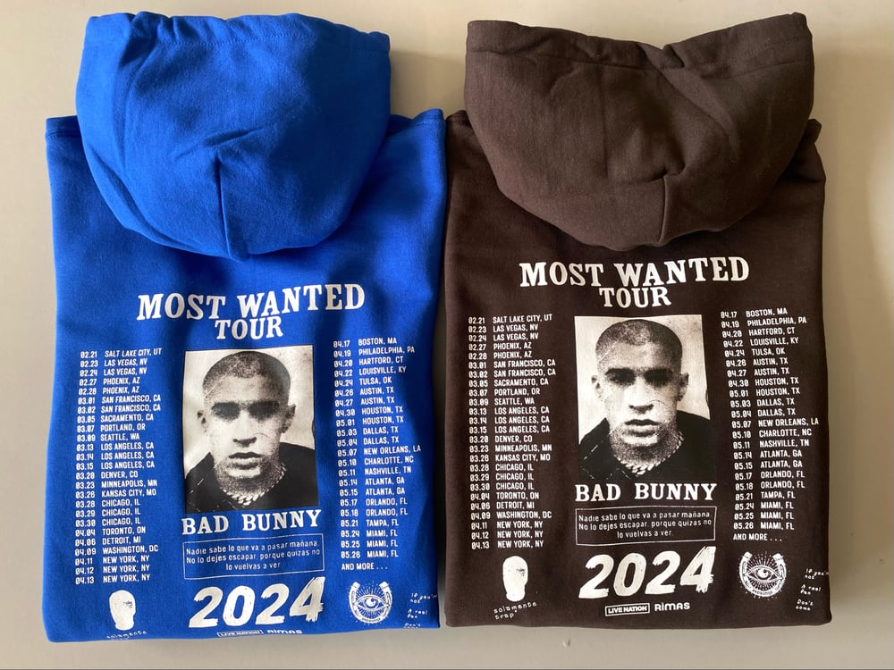 Image of MOST WANTED TOUR HOODIE ROYAL & BROWN 