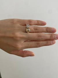 Image 4 of Golden Hour