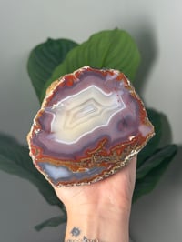 Image 1 of XL MOSSY PURPLE MOROCCAN AGATE HALF B