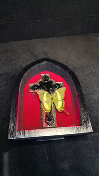 Image 2 of Entomology frames