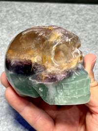 Image 5 of Rainbow Fluorite Crystal Skull #2412