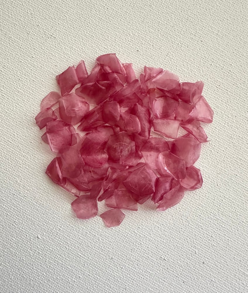 Image of Dyed fish scales - Rose pink