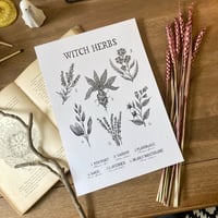 Image 1 of Witch Herbs A4 Print