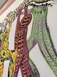 Image 2 of Evenflower