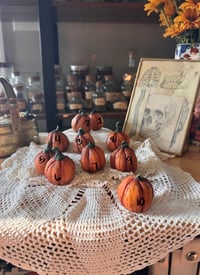 Image 3 of Pumpkin Patch