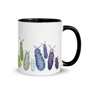 Collembola color wheel mug