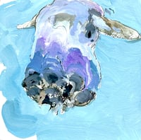 Dreaming of the Surface