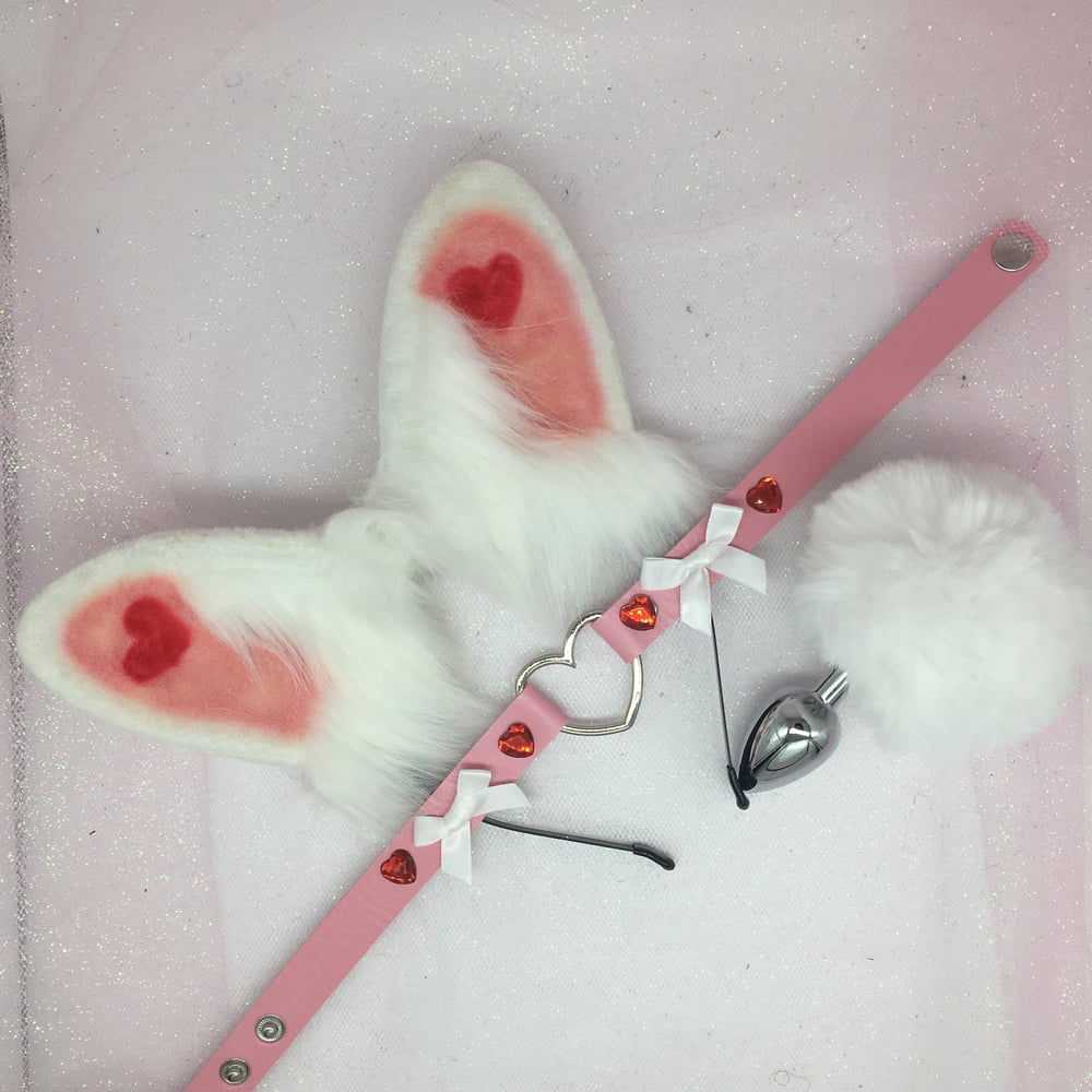Bunny 🐰 PetPlay Set
