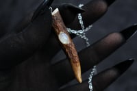 Image 8 of dead good antler and moonstone pendant on long chain