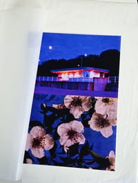 Image 2 of MOCK ORANGE, NIGHT LANDSCAPES