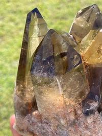 Image 15 of Smoky Citrine Points Cluster #1876