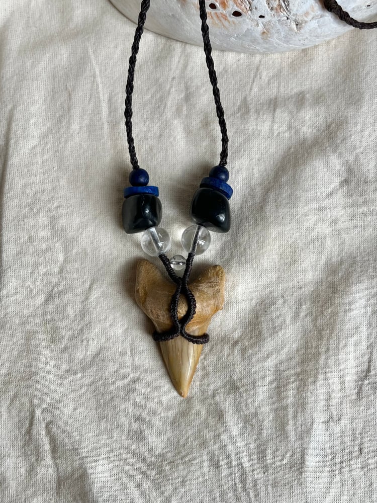 Image of Macrame pendant with shark tooth fossil 