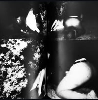 Image 4 of Kohei Yoshiyuki - Secret Infrared Photography 