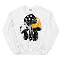 feraldreamer shrooms white