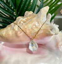 Image 2 of Oyster Shell Necklace N169