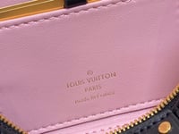 Image 8 of ĻV Vanity Case