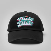 Image 2 of Facts is Facts Hat (2 colors)