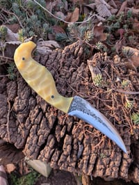 Image 1 of LAGER GEN2 DRAUG