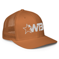 Image 5 of WTB Flexfit Hat