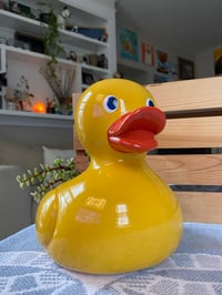 Image 5 of Rainbow Elephant Bush in Yellow Ducky