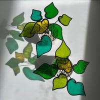 Image 1 of 3D Translucent Multicolor Begonia