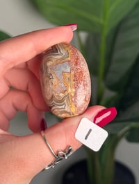 Image 19 of CHOOSE YOUR OWN MEXICAN LACE AGATE PALMSTONES 