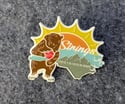 Asheville 2025 show pins
