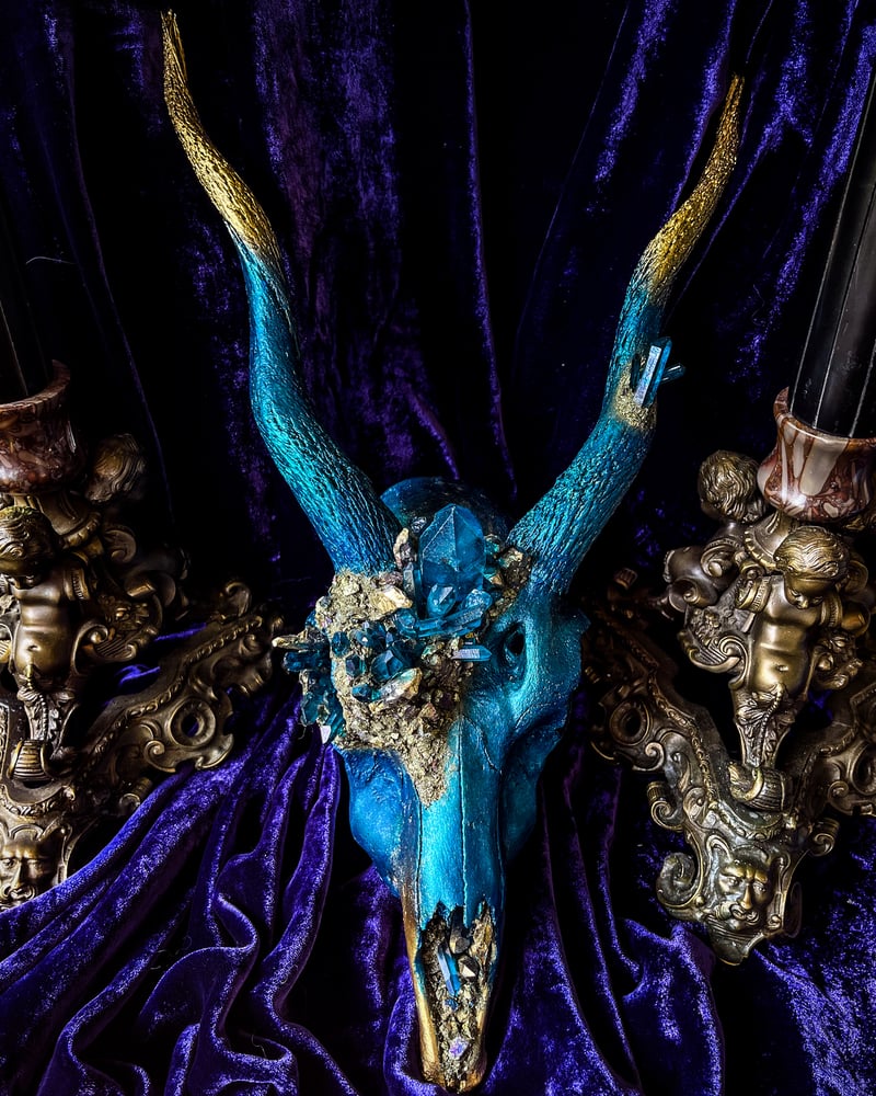 Image of Blue Quartz & Gold - Blackbuck Skull