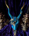Blue Quartz & Gold - Blackbuck Skull