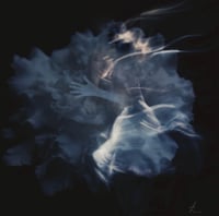 Image 2 of WE CARRY LOVE IN THE CHAOS