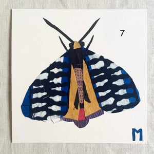 Image of square collage / insectes 