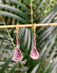 Image 1 of Tiny Mussel Earrings E138