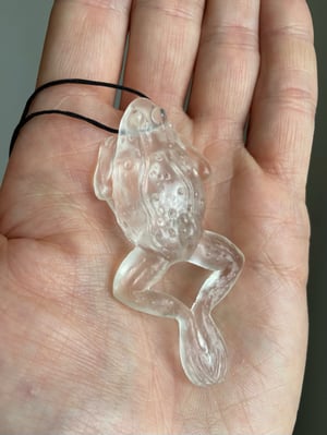 Dissected Frog Pendant Translucent 