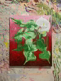 Image 1 of “Arum Lilly study 2”