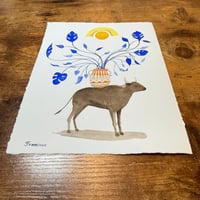 Image 2 of “Sturdy enough to bare your beauty”