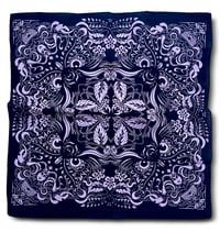 Image 1 of OWLS 