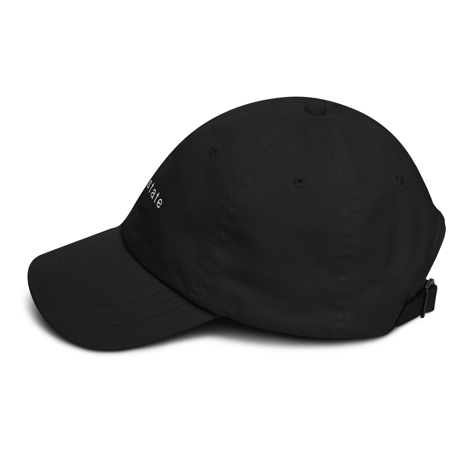 Image of Flow State Dad hat