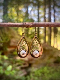 Image 2 of Moss Grove Earrings 