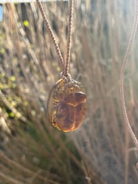 Image 3 of Baltic Amber Scarab beetle amulet 