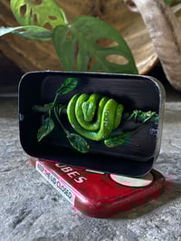 Image 3 of Mini Green Tree Python coiled on a branch, vintage tin diorama 