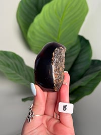 Image 2 of CHOOSE YOUR OWN HALF POLISHED BLUE SUMATRAN AMBER -INDONESIA- **UV REACTIVE**