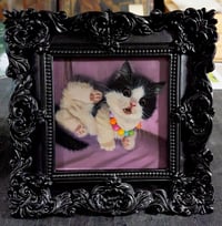 Image 1 of "Pearl" Original paintng 