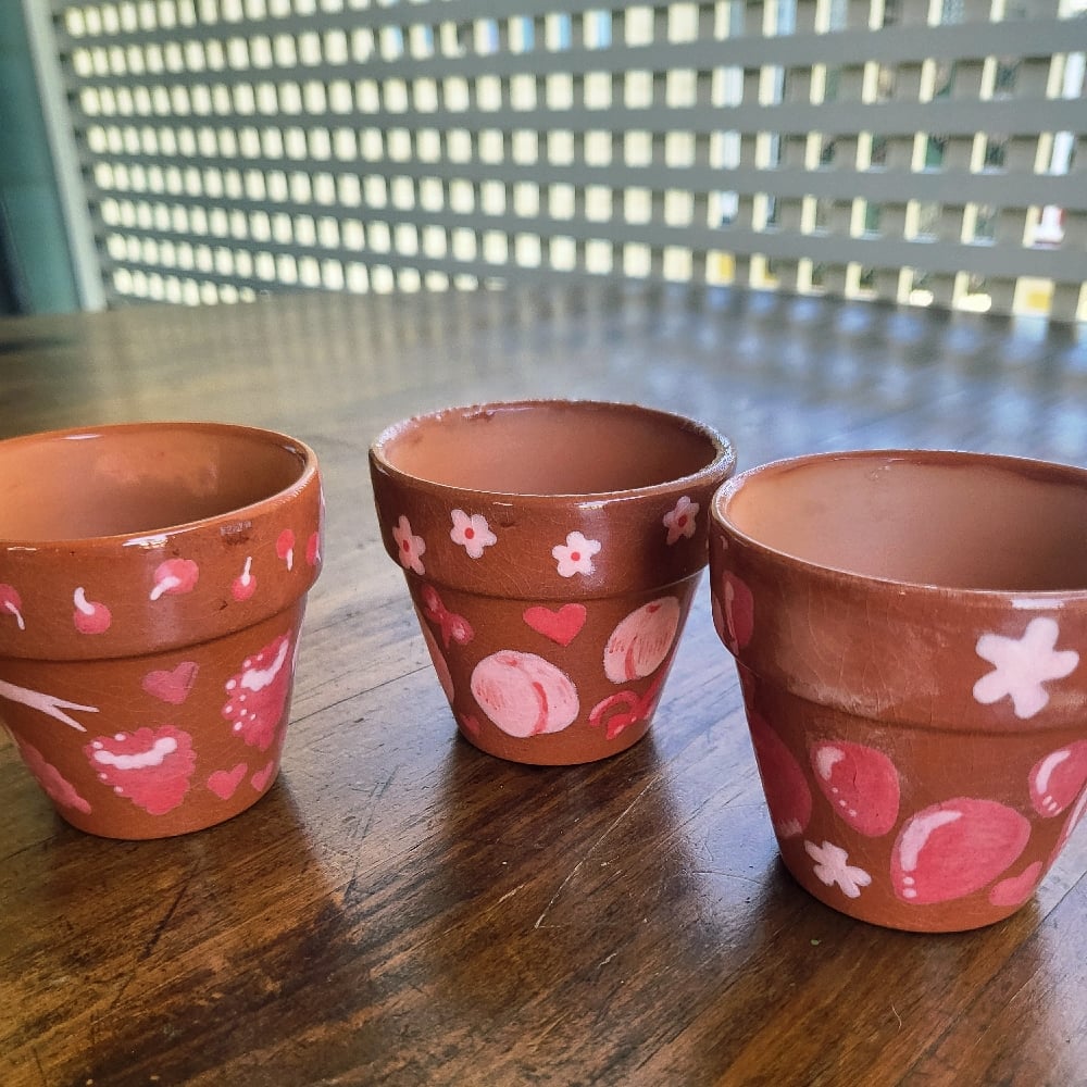 Image of Fruity terracotta pots set