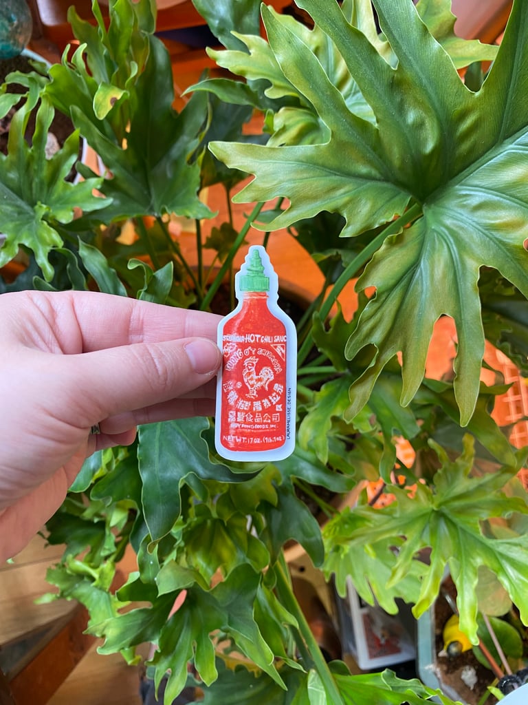 Hot sauce stickers Image 2
