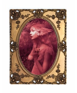 Image of Might I Take Flight - by Larry Endicott